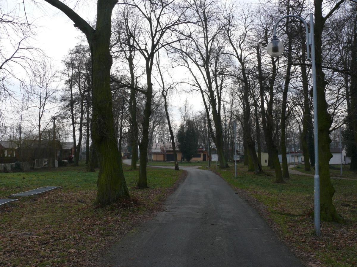 Domek Nad Jeziorem Osieczna 外观 照片