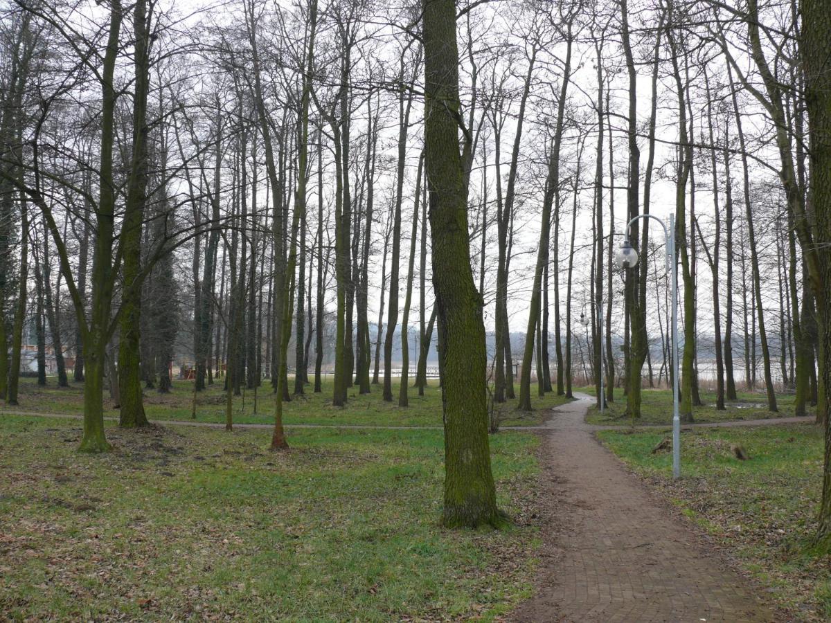 Domek Nad Jeziorem Osieczna 外观 照片